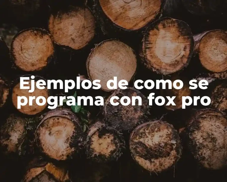 Ejemplos de como se programa con fox pro