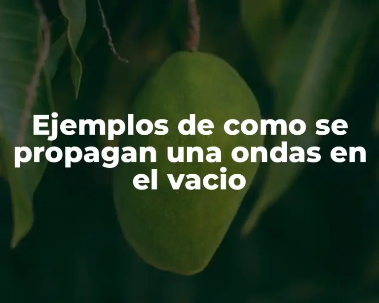 Ejemplos de como se propagan una ondas en el vacio