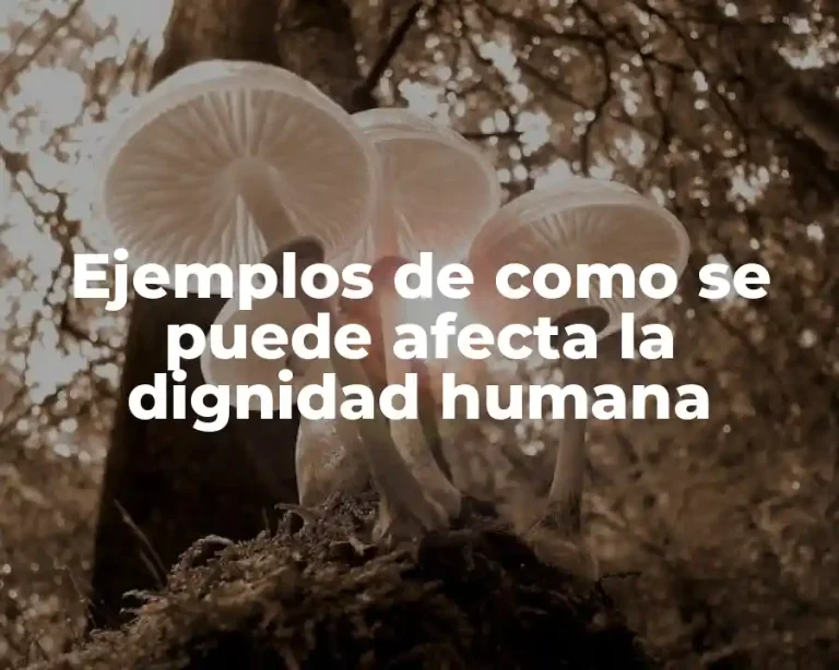 Ejemplos de como se puede afecta la dignidad humana