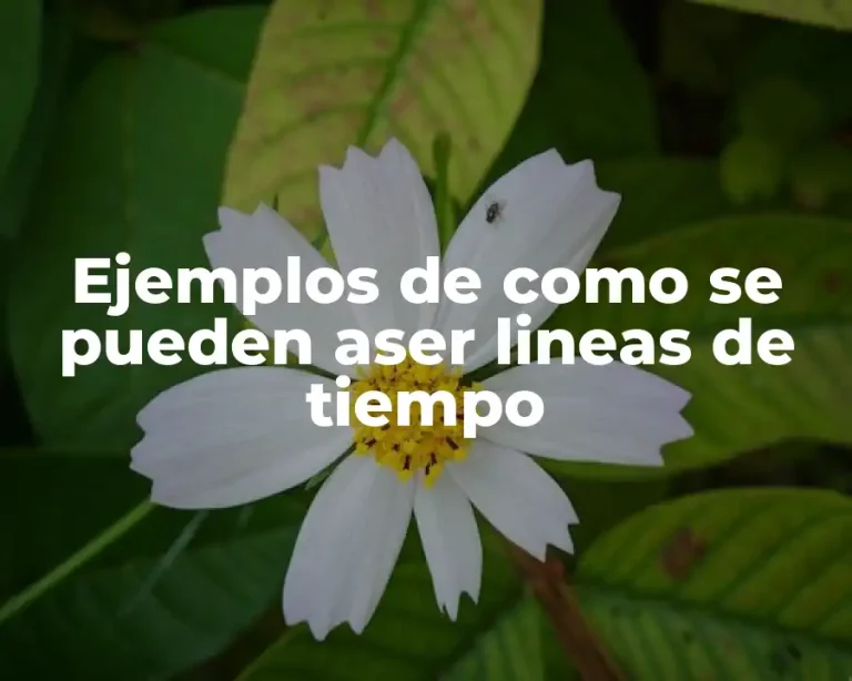 Ejemplos de como se pueden aser lineas de tiempo