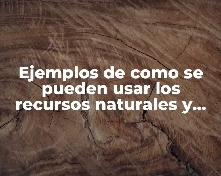 Ejemplos de como se pueden usar los recursos naturales y Significado