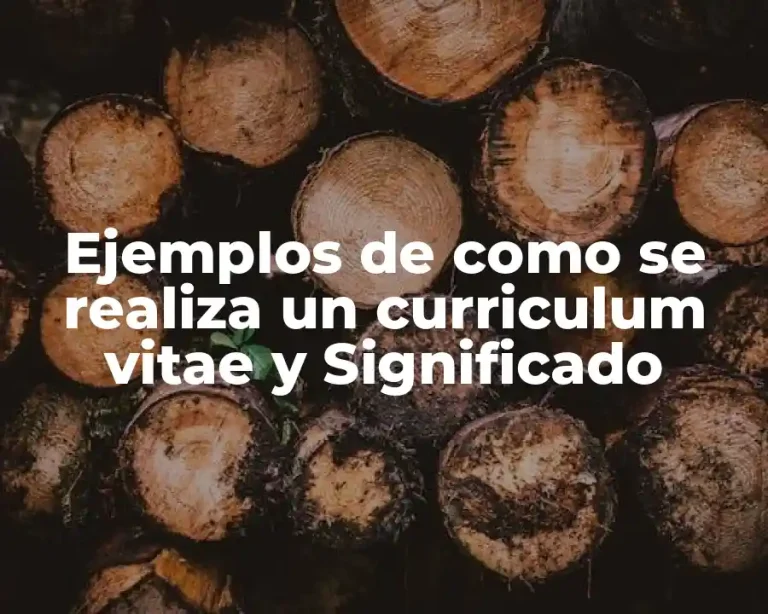 Ejemplos de como se realiza un curriculum vitae y Significado