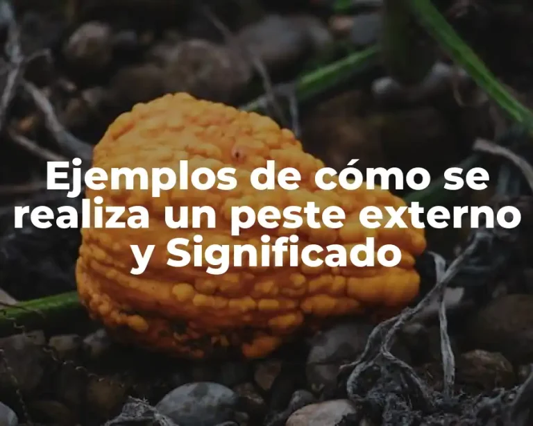 Ejemplos de cómo se realiza un peste externo y Significado