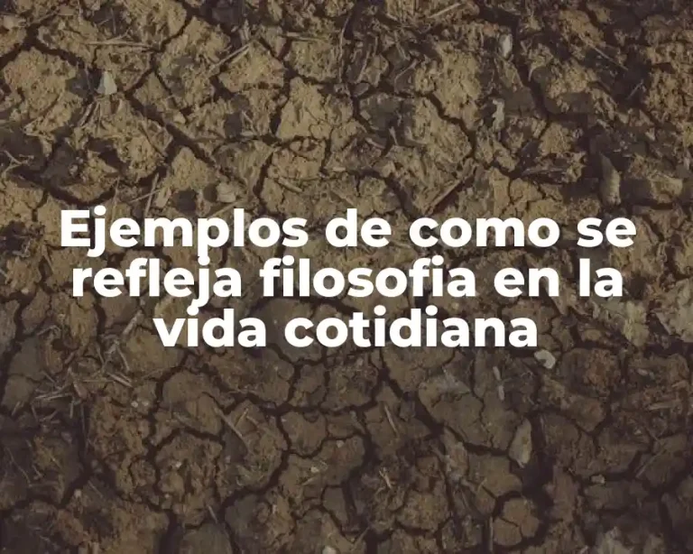 Ejemplos de como se refleja filosofia en la vida cotidiana
