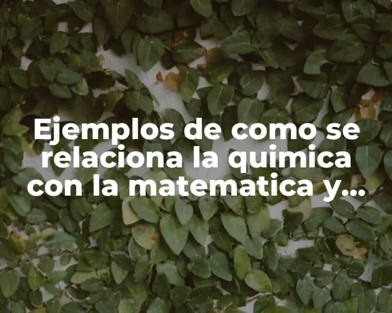 Ejemplos de como se relaciona la quimica con la matematica y Significado