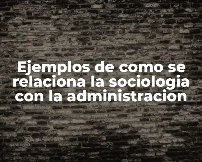 Ejemplos de como se relaciona la sociologia con la administracion