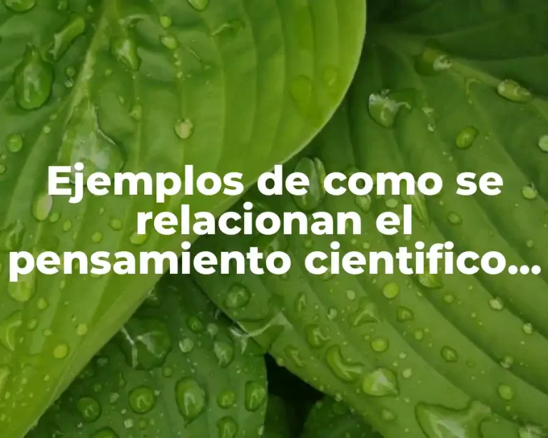 Ejemplos de como se relacionan el pensamiento cientifico y cotidiano
