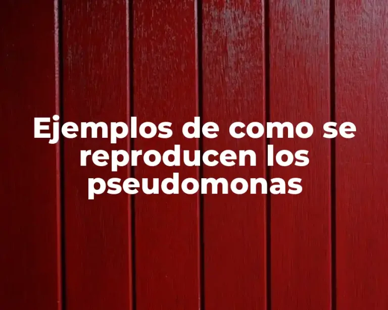 Ejemplos de como se reproducen los pseudomonas