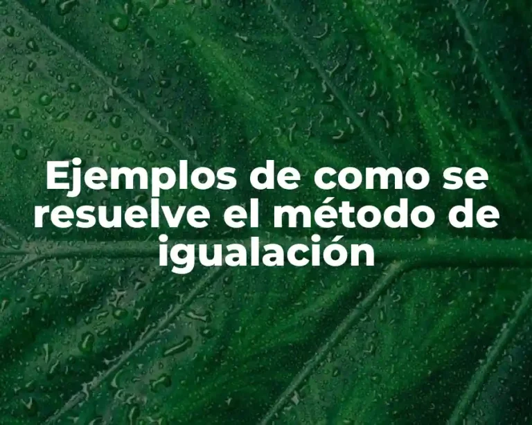 Ejemplos de como se resuelve el método de igualación