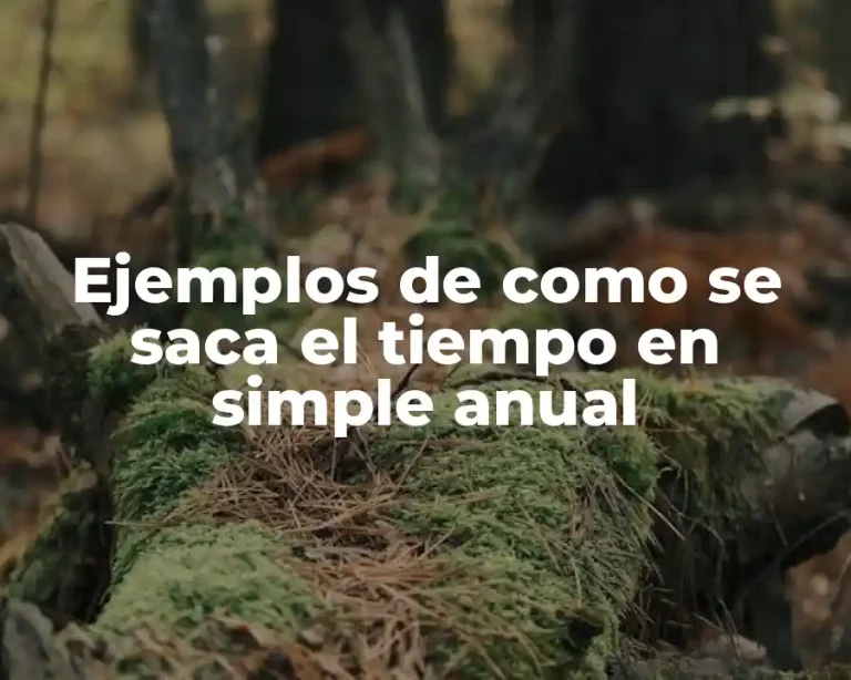 Ejemplos de como se saca el tiempo en simple anual