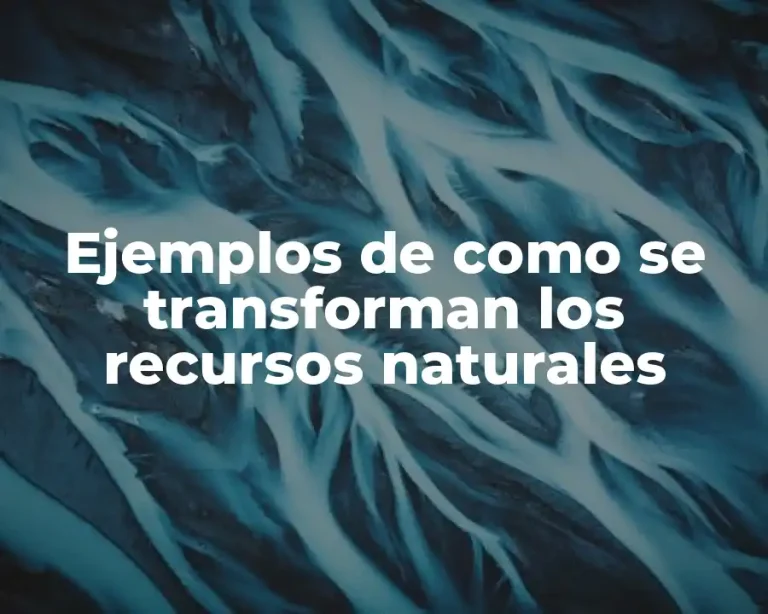 Ejemplos de como se transforman los recursos naturales