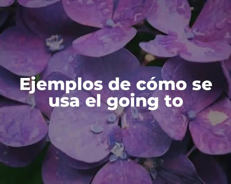 Ejemplos de cómo se usa el going to