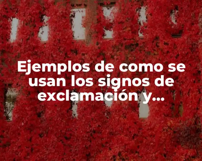 Ejemplos de como se usan los signos de exclamación y Significado