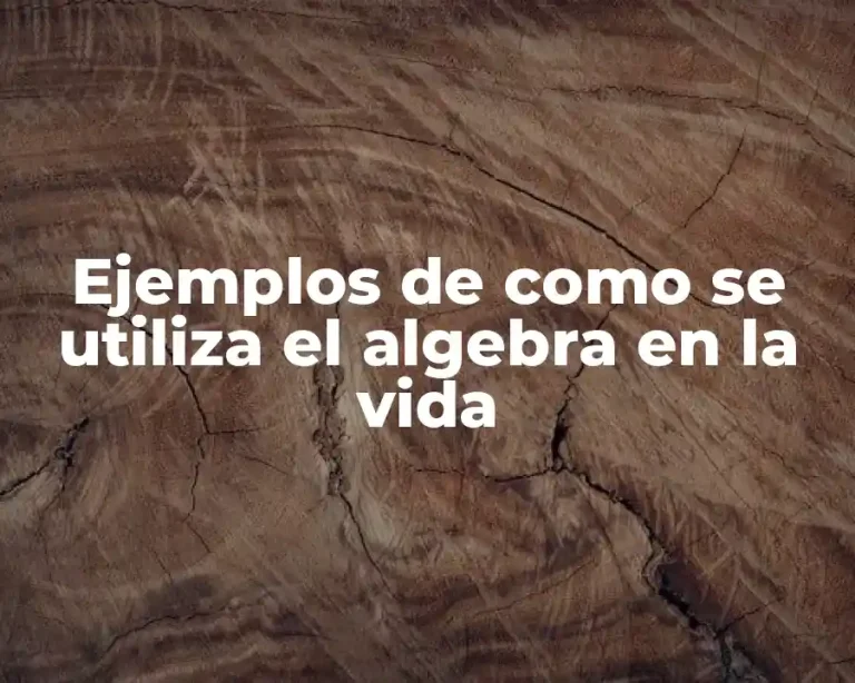 Ejemplos de como se utiliza el algebra en la vida