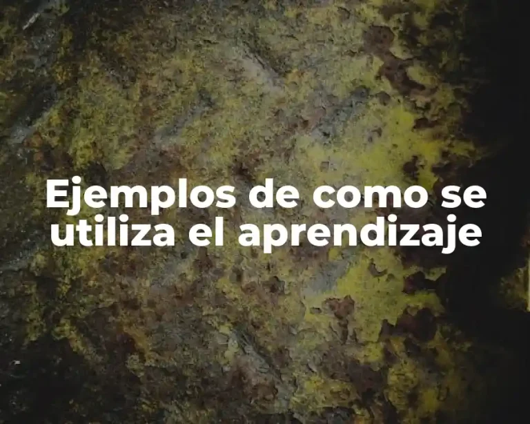 Ejemplos de como se utiliza el aprendizaje