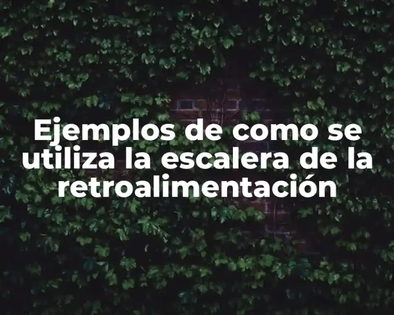 Ejemplos de como se utiliza la escalera de la retroalimentación