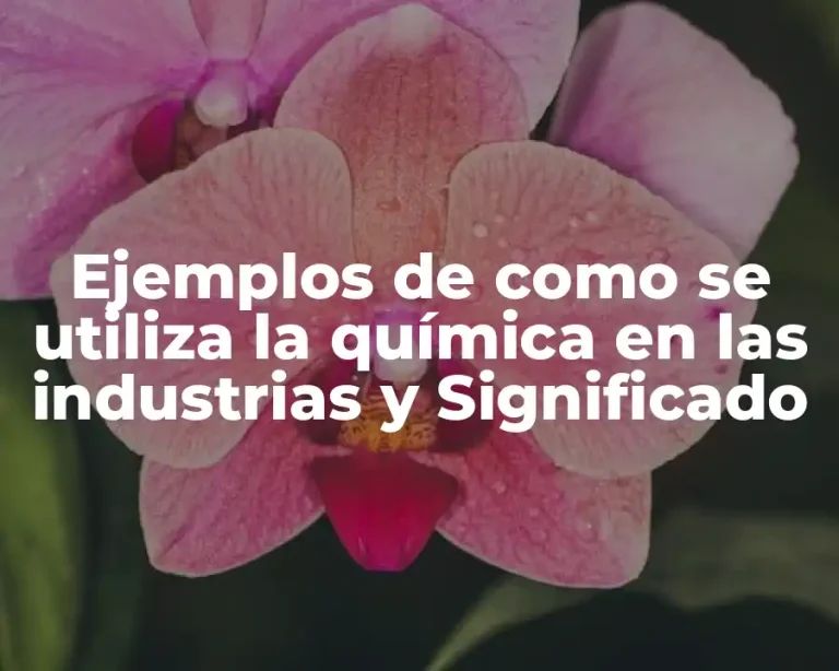 Ejemplos de como se utiliza la química en las industrias y Significado
