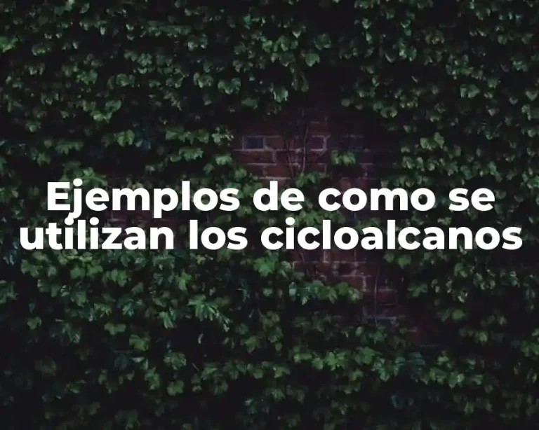 Ejemplos de como se utilizan los cicloalcanos
