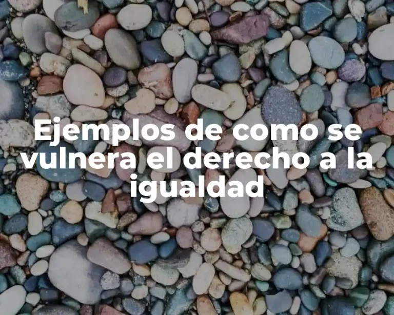 Ejemplos de como se vulnera el derecho a la igualdad