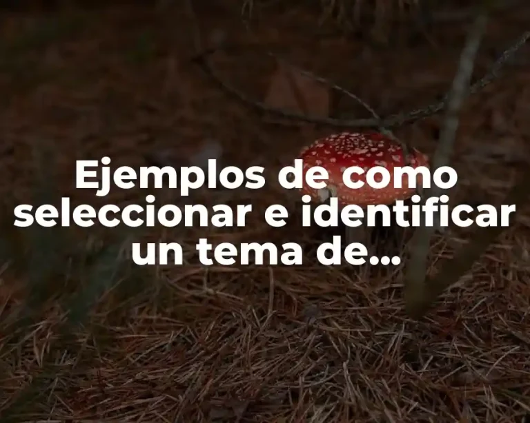 Ejemplos de como seleccionar e identificar un tema de investigación y Significado