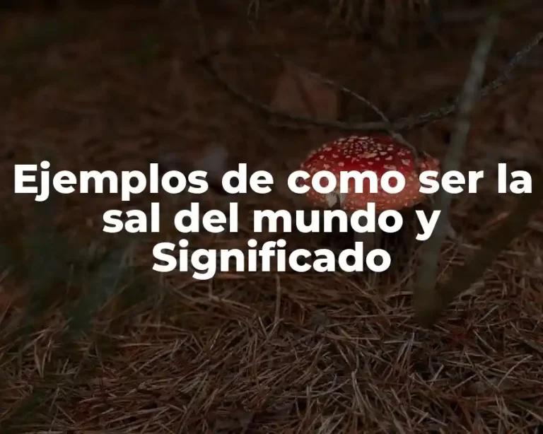 Ejemplos de como ser la sal del mundo y Significado