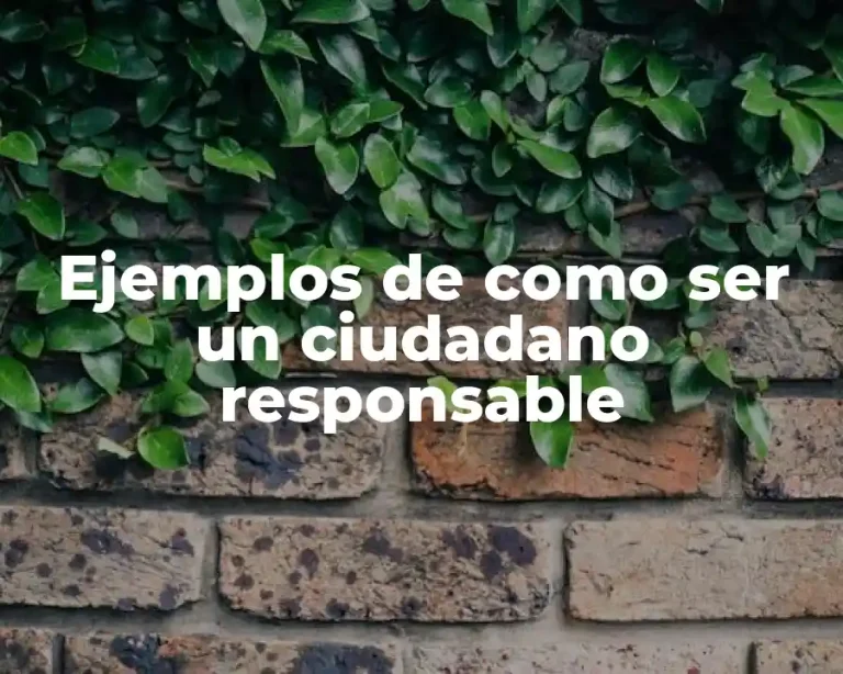 Ejemplos de como ser un ciudadano responsable
