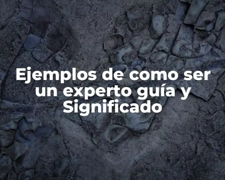 Ejemplos de como ser un experto guía y Significado