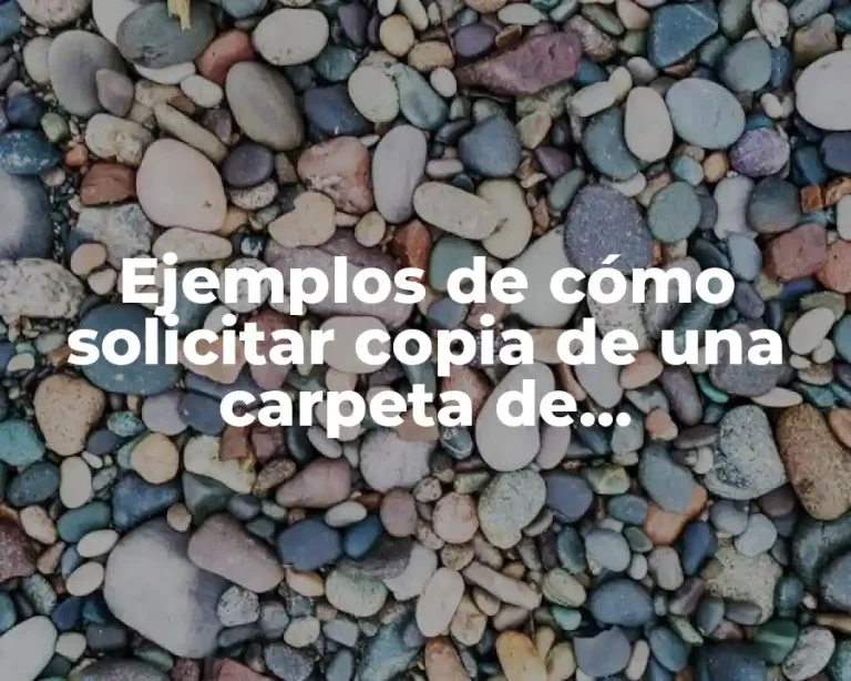 Ejemplos de cómo solicitar copia de una carpeta de investigación y Significado