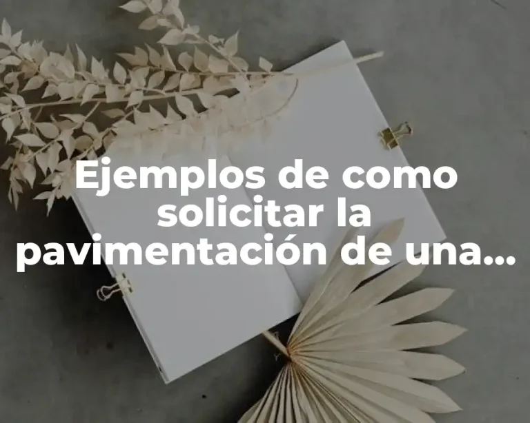 Ejemplos de como solicitar la pavimentación de una calle