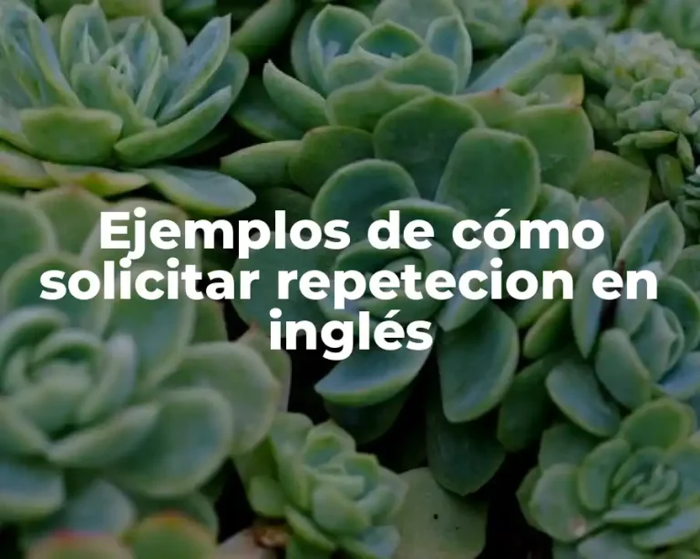 Ejemplos de cómo solicitar repetecion en inglés