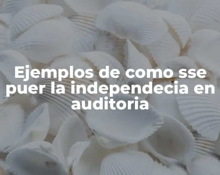 Ejemplos de como sse puer la independecia en auditoria