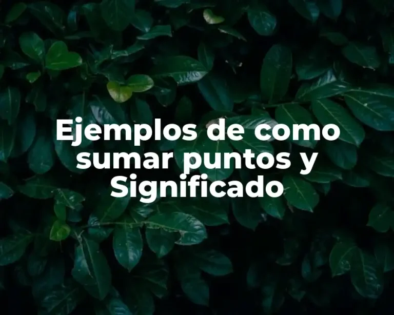 Ejemplos de como sumar puntos y Significado