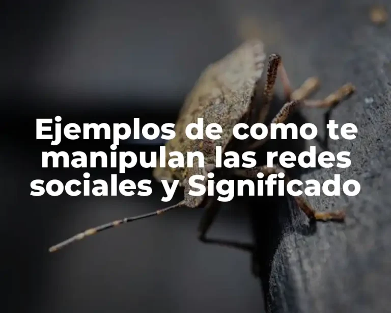 Ejemplos de como te manipulan las redes sociales y Significado