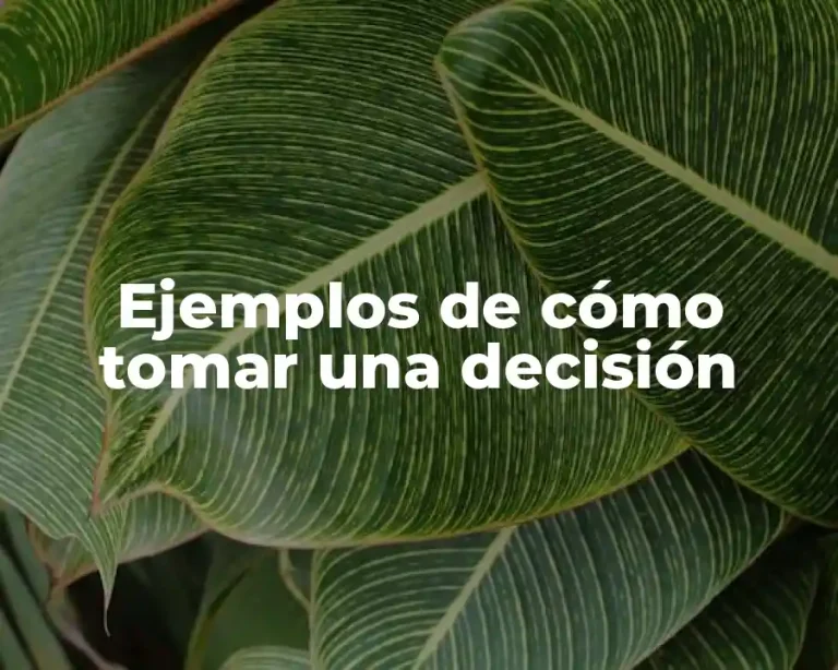Ejemplos de cómo tomar una decisión