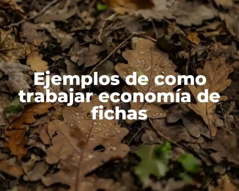 Ejemplos de como trabajar economía de fichas