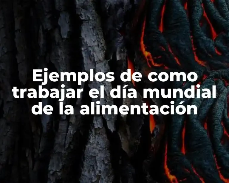 Ejemplos de como trabajar el día mundial de la alimentación