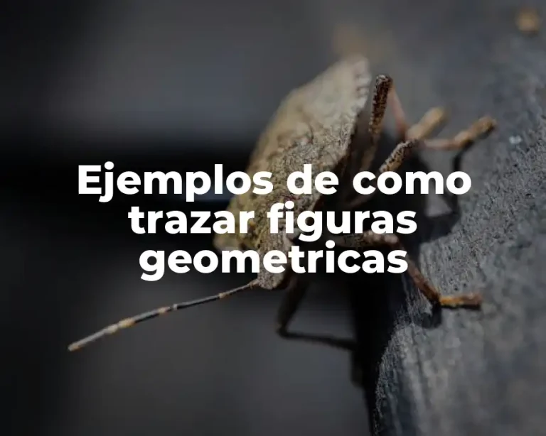 Ejemplos de como trazar figuras geometricas