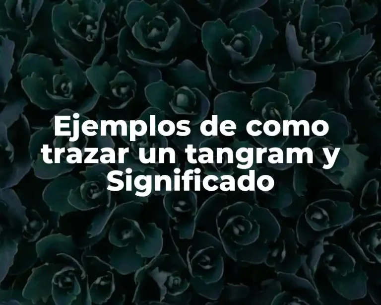 Ejemplos de como trazar un tangram y Significado