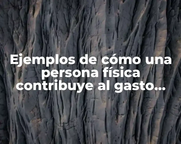 Ejemplos de cómo una persona física contribuye al gasto público