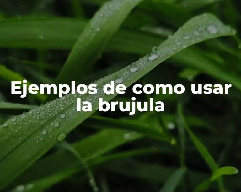 Ejemplos de como usar la brujula