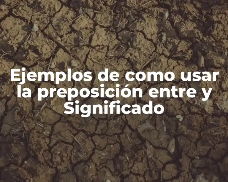 Ejemplos de como usar la preposición entre y Significado