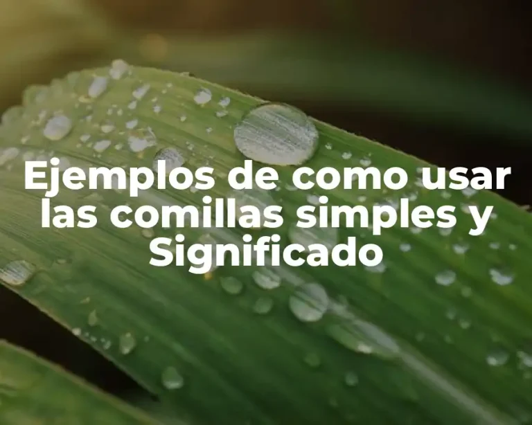 Ejemplos de como usar las comillas simples y Significado