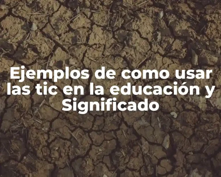 Ejemplos de como usar las tic en la educación y Significado
