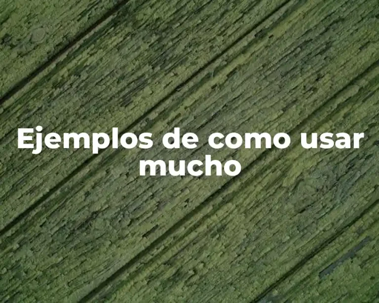 Ejemplos de como usar mucho