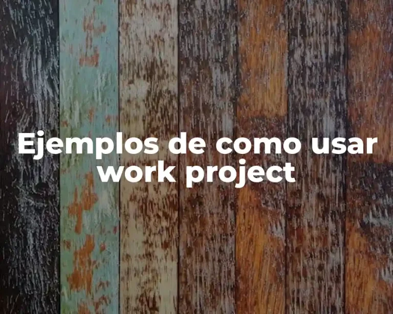 Ejemplos de como usar work project