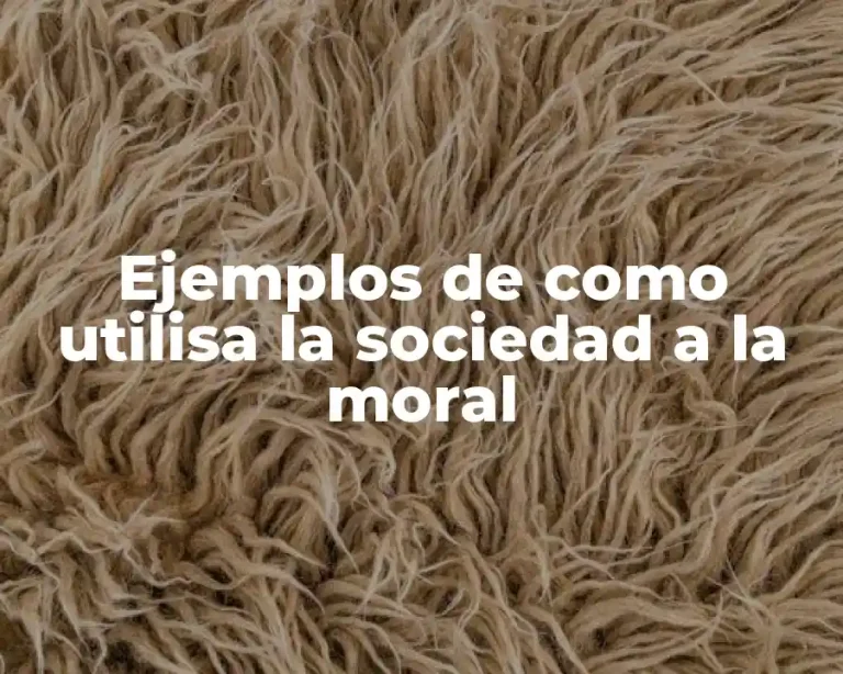 Ejemplos de como utilisa la sociedad a la moral