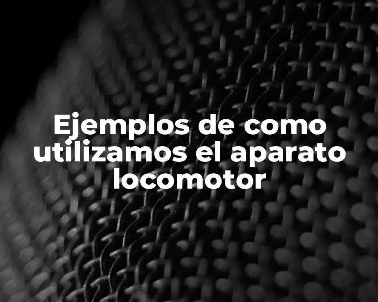 Ejemplos de como utilizamos el aparato locomotor