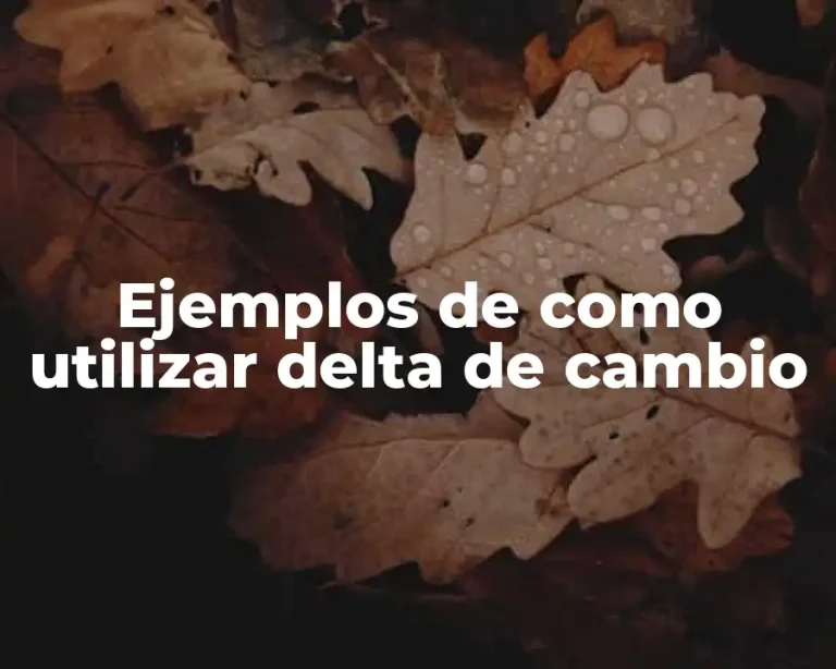 Ejemplos de como utilizar delta de cambio