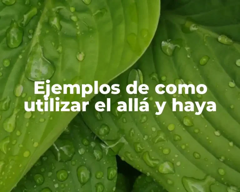 Ejemplos de como utilizar el allá y haya
