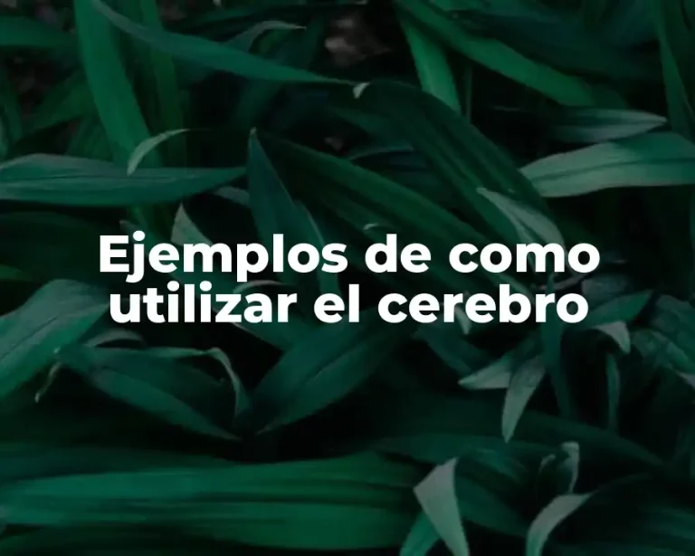 Ejemplos de como utilizar el cerebro